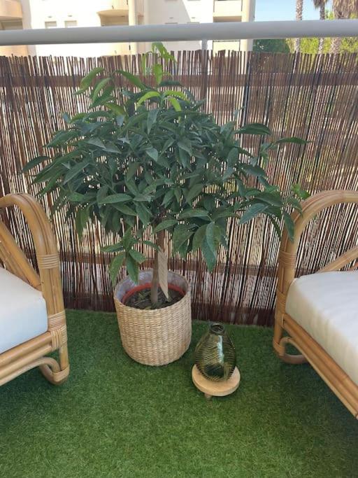 Appartement Riviera's Soul *