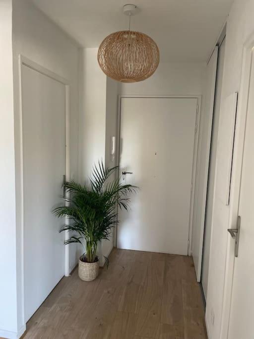 Appartement Riviera's Soul Antibes